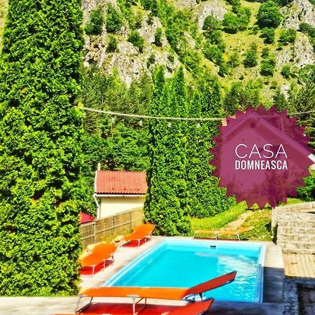 הוילה באיה דה פייר Casa Domneasca מראה חיצוני תמונה