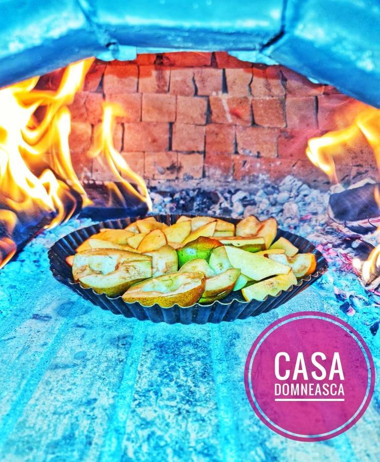 הוילה באיה דה פייר Casa Domneasca מראה חיצוני תמונה