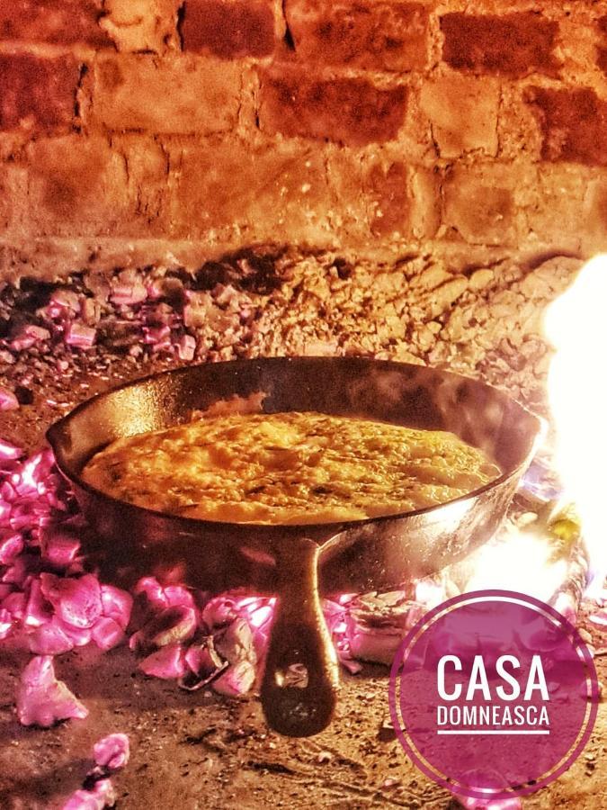 הוילה באיה דה פייר Casa Domneasca מראה חיצוני תמונה