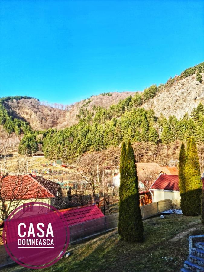 הוילה באיה דה פייר Casa Domneasca מראה חיצוני תמונה