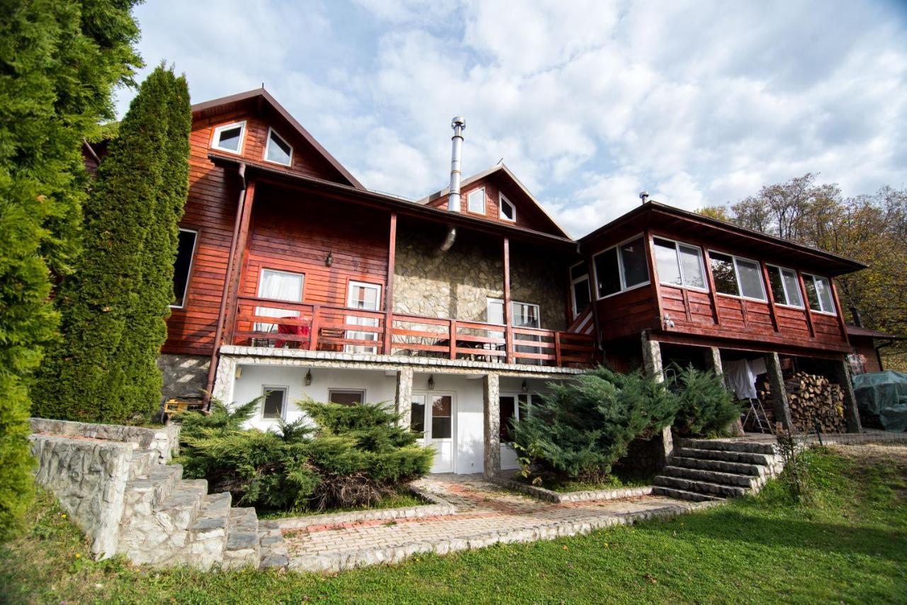 הוילה באיה דה פייר Casa Domneasca מראה חיצוני תמונה