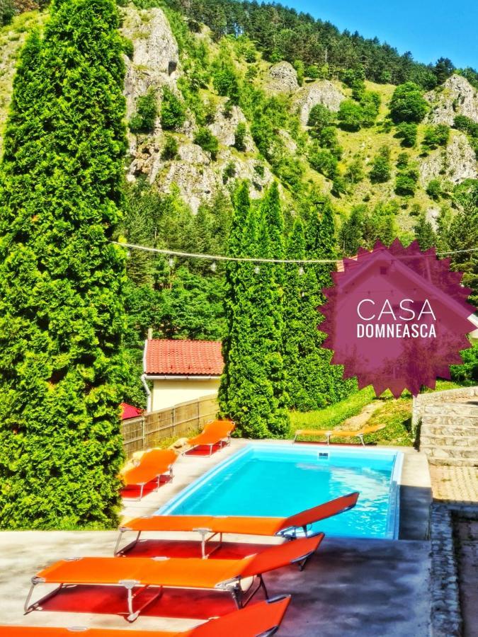 הוילה באיה דה פייר Casa Domneasca מראה חיצוני תמונה